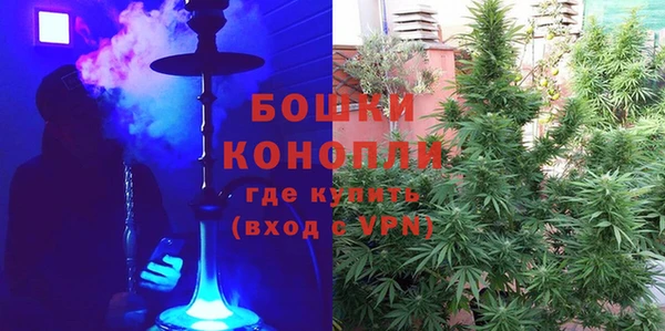 PSILOCYBIN Горнозаводск