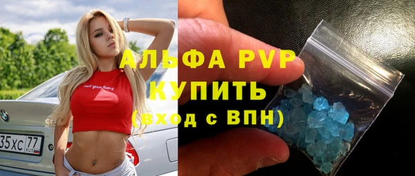 PSILOCYBIN Горнозаводск