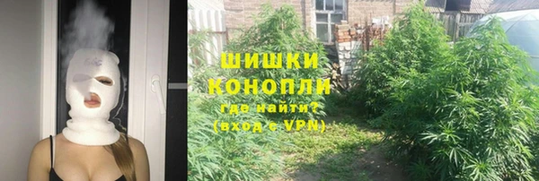 PSILOCYBIN Горнозаводск