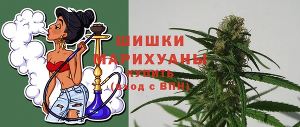 PSILOCYBIN Горнозаводск