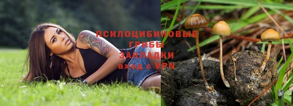 каннабис Горно-Алтайск