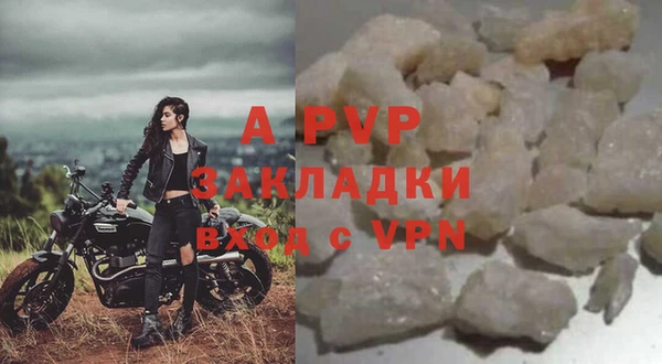 PSILOCYBIN Горнозаводск