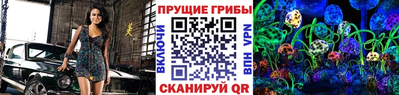 Псилоцибиновые грибы прущие грибы  Перевоз 